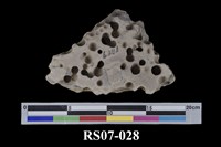 藏品(蜂窩岩)的圖片